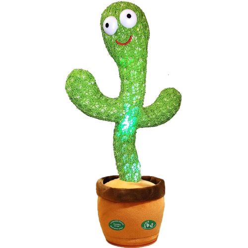 Gn Dancing Cactus