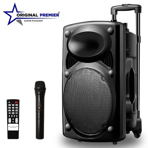 Original Super Power Enceinte Bluetooth Portable D12 + 1 Micro + 1