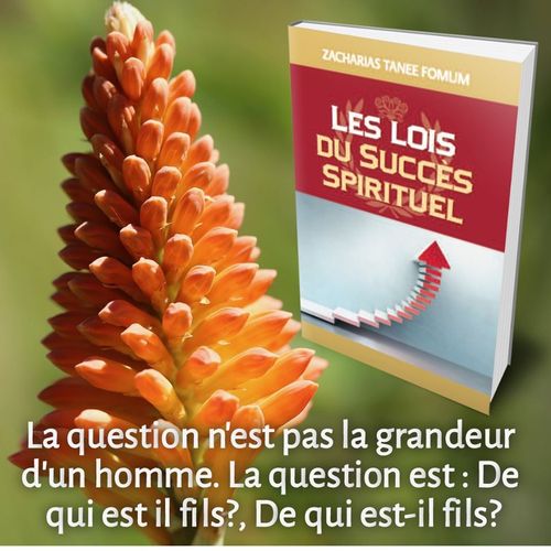 product_image_name-Books-Les Lois Du Succès Spirituel (volume Un)-2