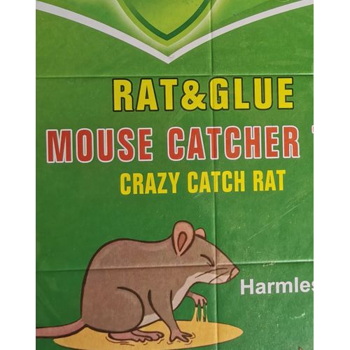 Generic Duo Pièges à Souris 2 pieges pliables anti-souris a Colle forte attrape  souris à prix pas cher