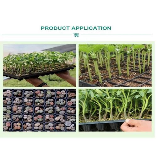 product_image_name-Generic-plaque Alvéole lot de 100 - 98 cellules-3