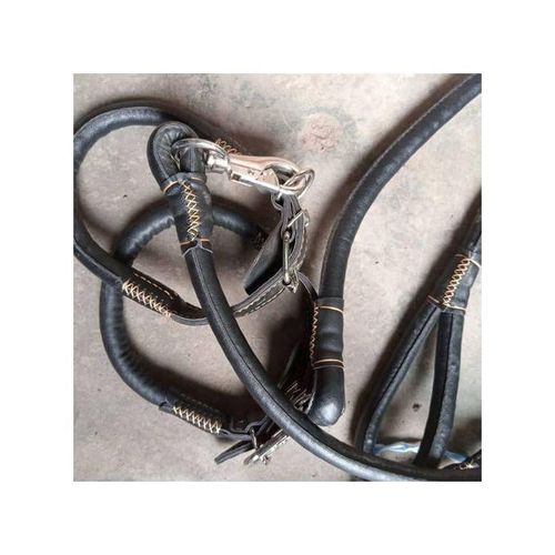 product_image_name-Generic-Laisse Pour Chien - 115x78cm - En Cuir - Noir GG-1