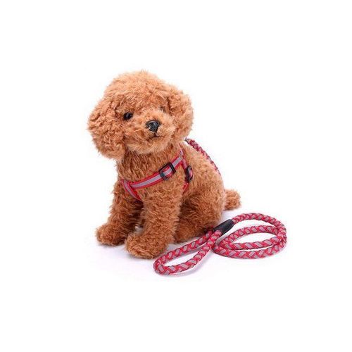 product_image_name-Generic-Harnais Tour De Poitrail + Laisse Pour Chien /Chiot-1