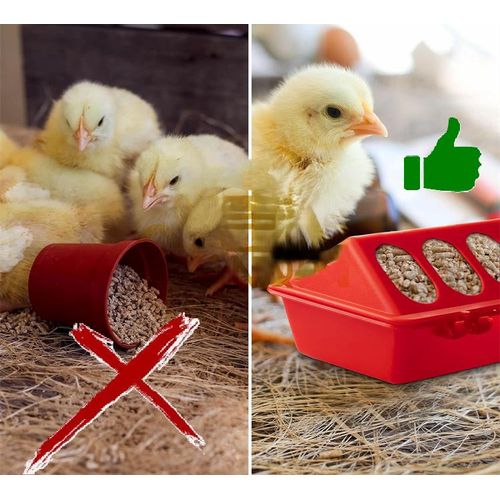 product_image_name-Generic-Mangeoire Trémie Volaille 18 TROUS  (lot De 5)-1