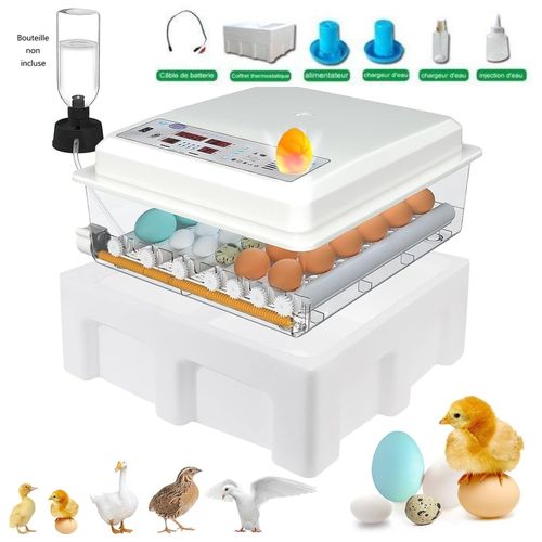 product_image_name-Generic-Couveuse Automatique 36 Œufs Volaille - Incubateur avec Retournement Auto, Humidification Intelligente et Double Alimentation - Haute Performance Pour Éclosion Poule, Canard, Oie, Caille-1