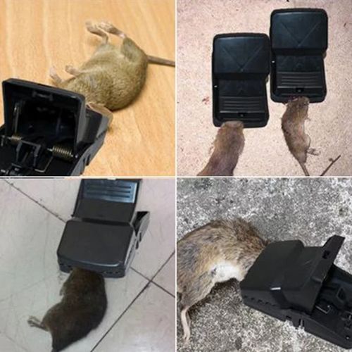 product_image_name-Generic-Piége À Souris. NOIRE-2