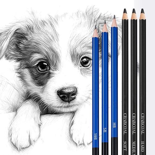 Generic Ensemble de crayons de dessin et croquis professionnel de 50 pièces - image 4