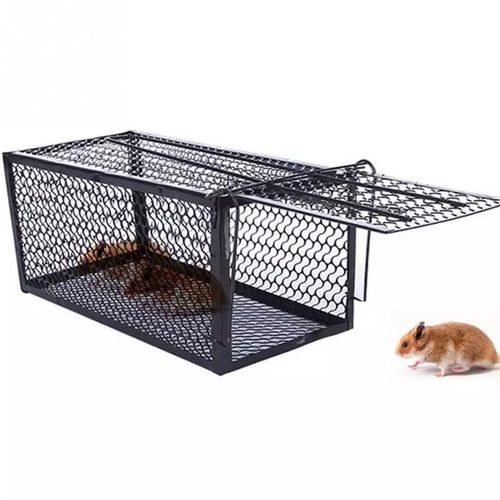Generic Piége À Souris Cage-Noir