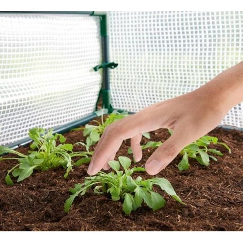 product_image_name-Generic-PARKSIDE, serre de jardin en film plastique. 2 serres Séparées.  Pour cultiver et protéger votre culture. environ  2x (L=60cm x l=60cm x H= 60cm). Importé de France.-3