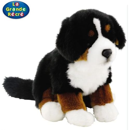 Soft friends 2025 chien