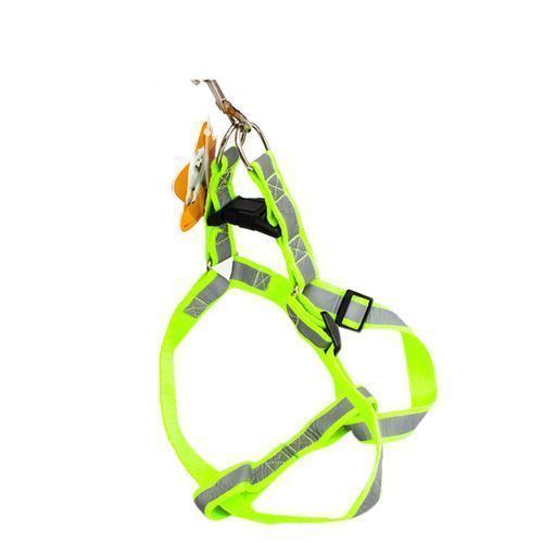 product_image_name-Generic-Laisse Et Muselière - Vert-3