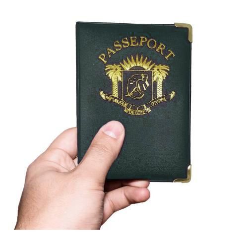 Fashion Etui-Protection Passeport - image 4