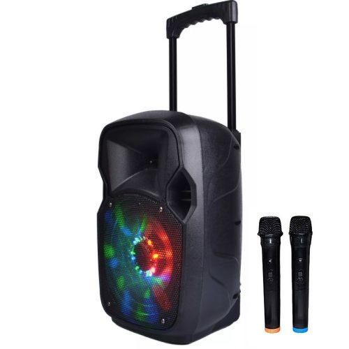 Jerry Baffle Professionel Bluetooth Sans Fil - Avec 2 Micro- Noir - Prix  pas cher