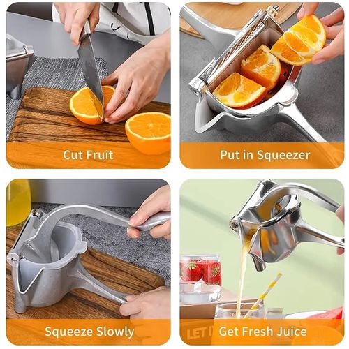 Generic Fruit Press - image 2