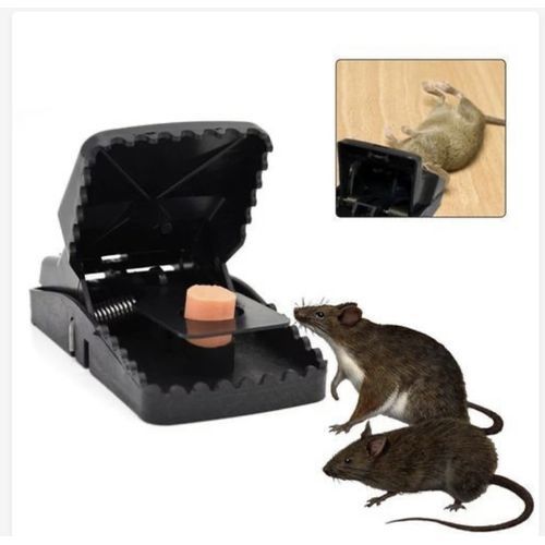 Generic Piège A Souris