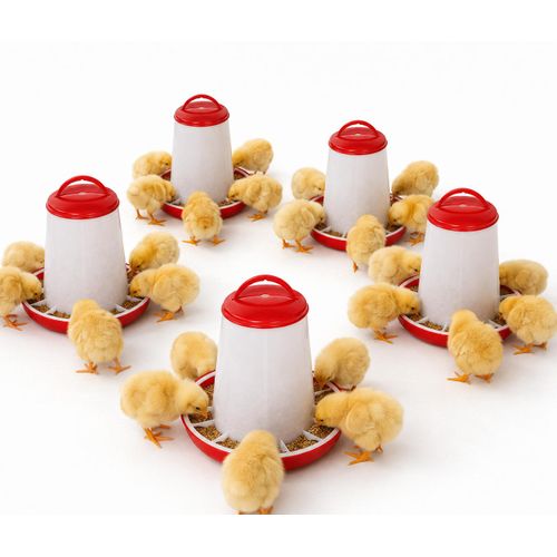 Generic Mangeoire 4kilo lot de 5