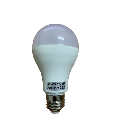 Light Ampoule LED Dimmable E27 750 Lum GED - Prix pas cher