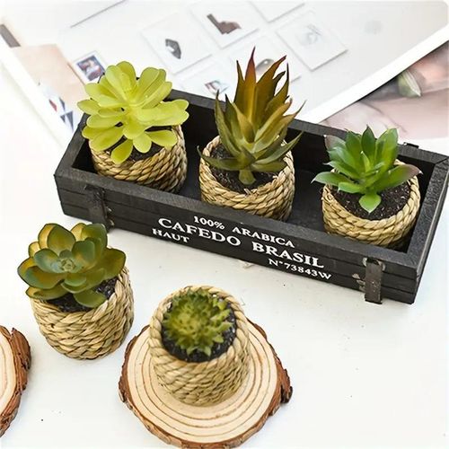 product_image_name-Generic-Ensemble de 5 pots de fleurs artificielles, avec des arrangements de fleurs en plastique simulant des plantes succulentes, adaptés pour la décoration intérieure et extérieure de la maison.-8