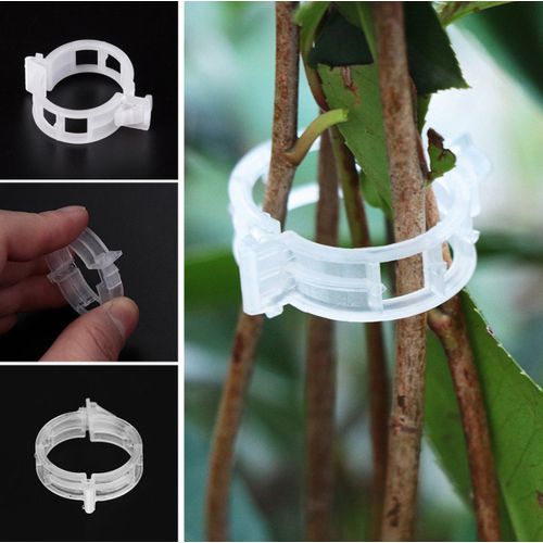 Clips de treillis VGEBY 10 sacs/sac Clip de Support de plante Clip de  fixation de vigne blanc Transparent pour tomate végétale 