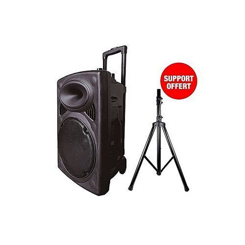 Acheter Mini amplificateur vocal Portable 5W 2400mAh, haut-parleur vocal  personnel multifonctionnel avec affichage du Microphone pour réunion vocale  4x3x1