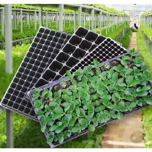 product_image_name-Generic-plaque Alvéole lot de 100 - 72 cellules-2