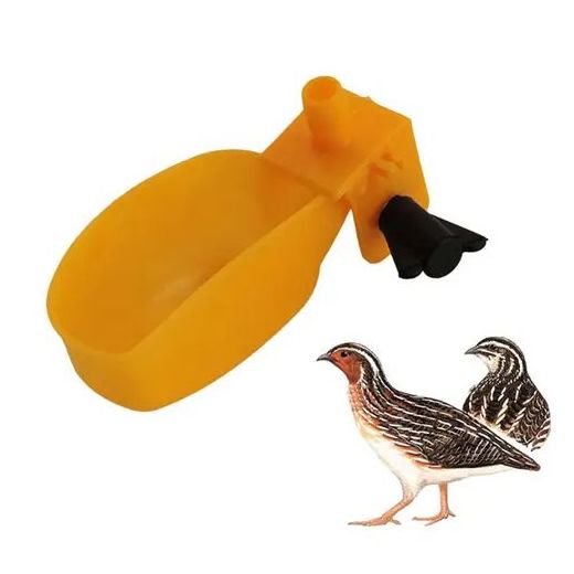 Generic Lot De 20 Abreuvoirs Pipette Pour Caille