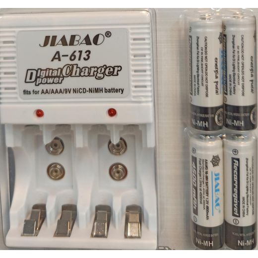 Chargeur de pile rechargeable 