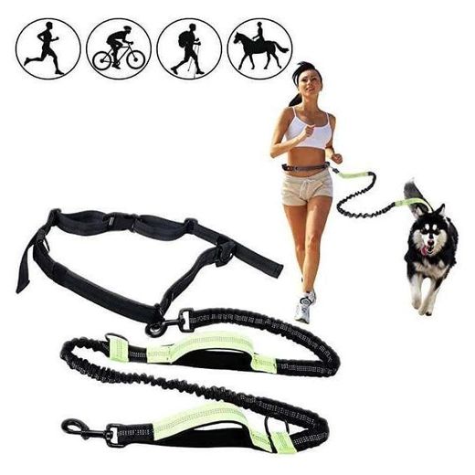 Generic Corde De Sécurité Police POUR Chien LM - image 2