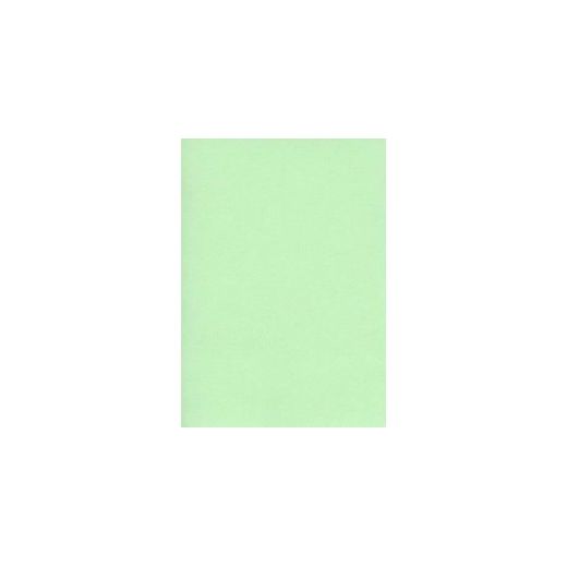 Papier Bristol 180g  Forma A4 Vert Paquet De 100