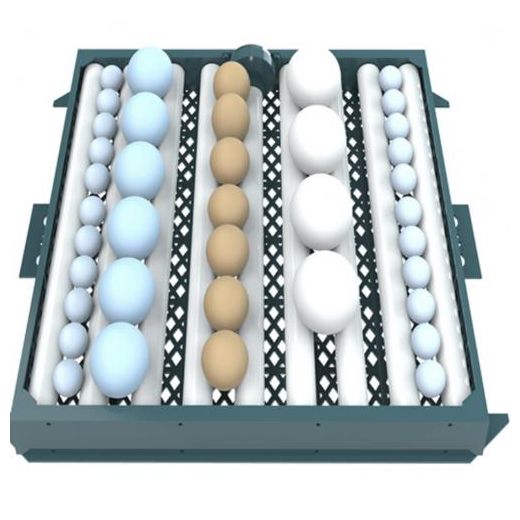Generic Compartiment  Pour Augmenter La Capacité Des Couveuses Automatiques Type 128 Oeufs