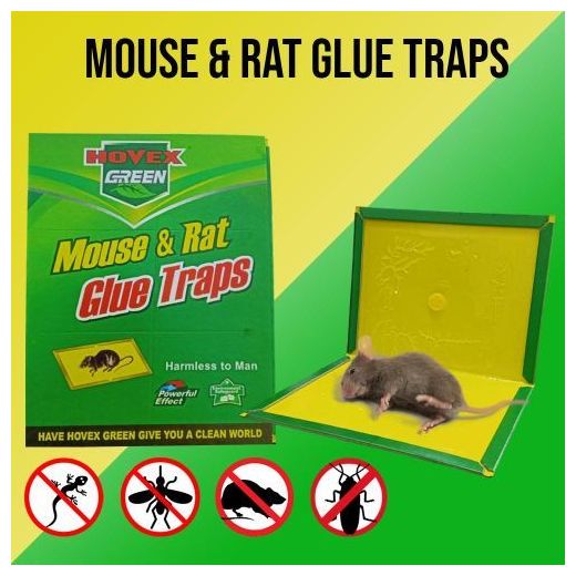 Generic Piège à Souris Super Colle