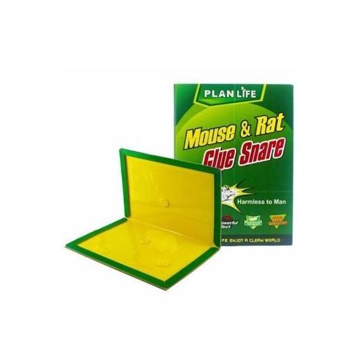 Generic Piège à Souris Colle Lot De 3 -vert - image 3