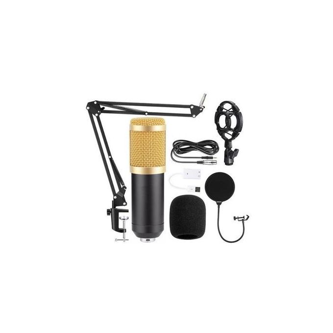 Fdit Kit de microphone à condensateur cardioïde Kit de microphone à  condensateur Kit de micro de Studio cardioïde professionnel - Cdiscount TV  Son Photo