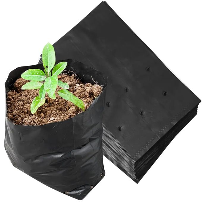 generic-lot-de-25-sachets-de-p-pini-res-ou-de-plantation-ou-de-cultures