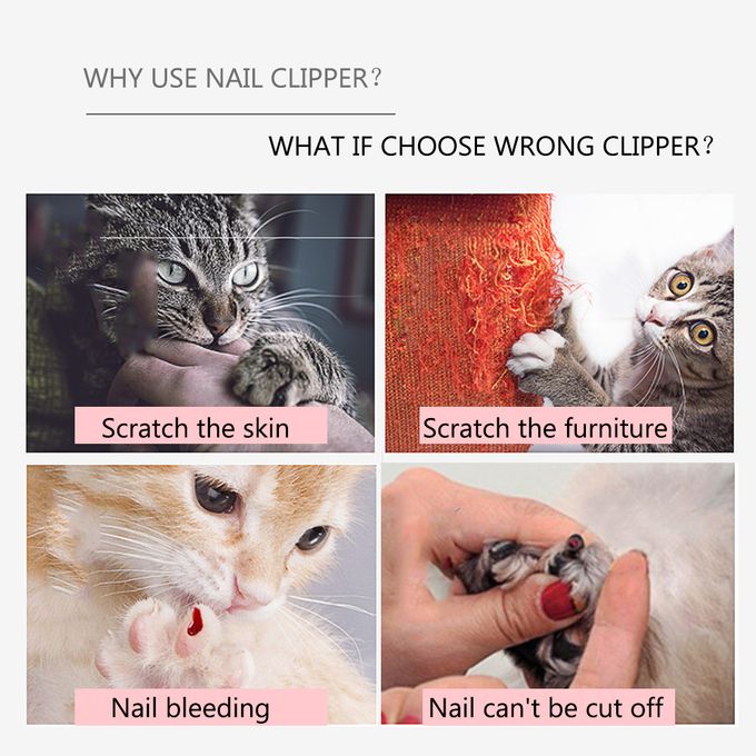 Generic Coupe Griffes Pour Chien Chat Rouge Prix Pas Cher Jumia Ci