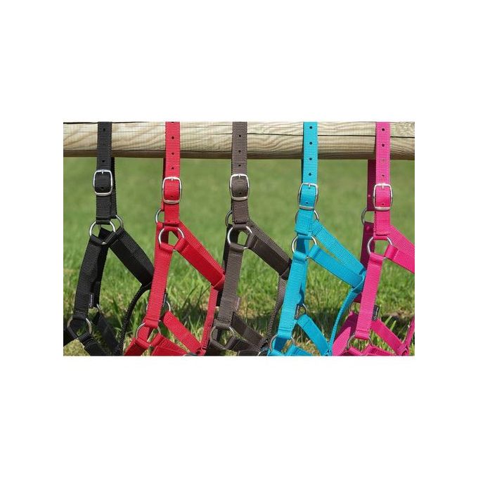 Fouganza By Decathlon Licol Schooling Turquoise Prix Pas Cher Jumia Ci