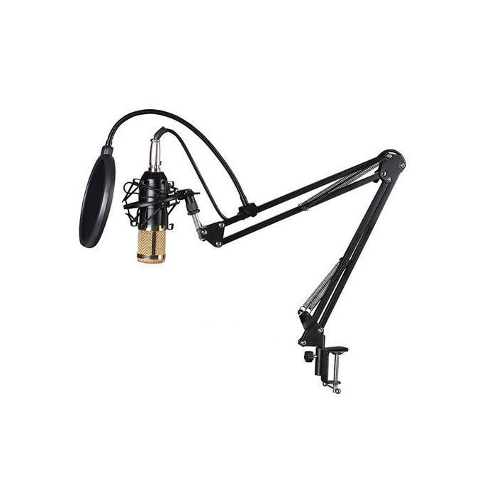 BM-800 Microphone à Condensateur Kit, Micro Studio Streaming Professionnel  avec Suspension Bras pour PC,Gamer, Blanc - Cdiscount Informatique