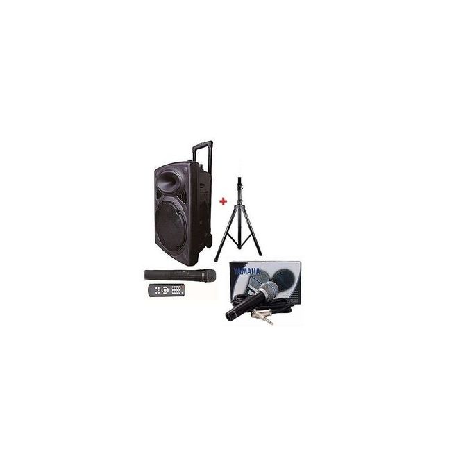 BAFFLE Enceinte Haut Parleur Bluetooth Original +2 Micros + Pieds - GOCI  Côte d'Ivoire