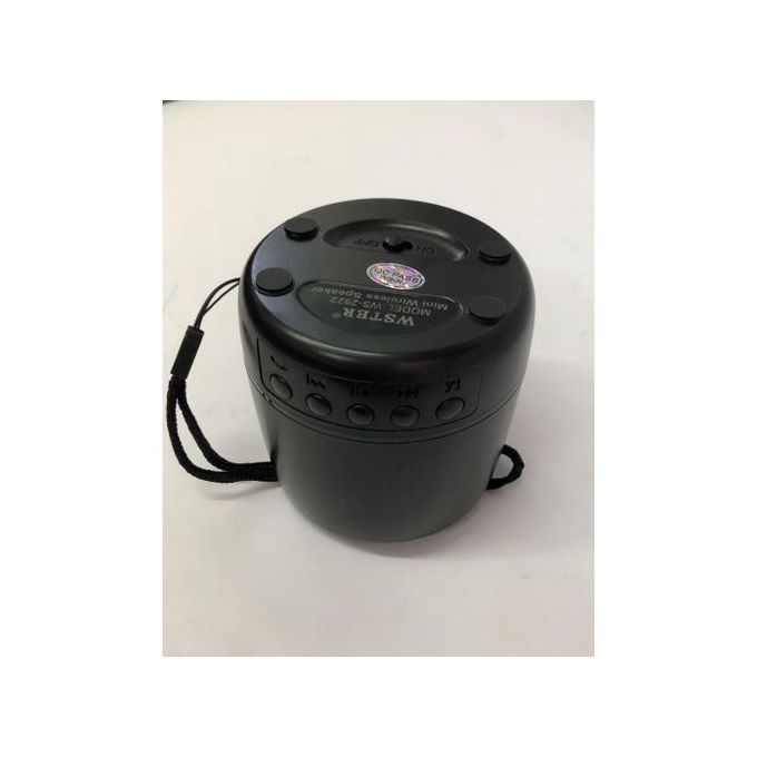 Wster Music Mini Enceinte Bluetooth WS-2922 -Noir - Prix pas cher