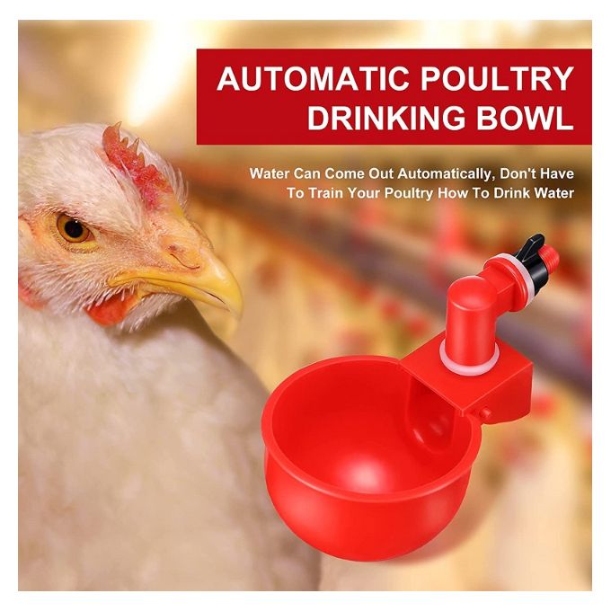 4pcs Abreuvoir Automatique De Poulet Bols À Boire Suspendus - Temu Canada