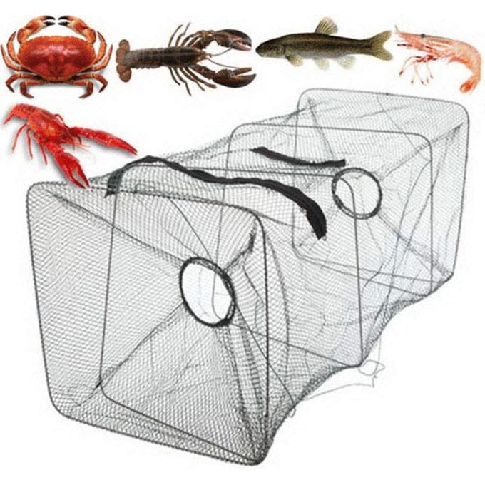 Piège à crabes - Piège à appâts de pêche - Cadre en acier inoxydable -  Polygone portable pour diverses eaux : : Sports et Plein air