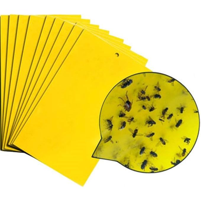 Lot de 100 pièges à mouches jaunes 20x15cm, papier collant à colle