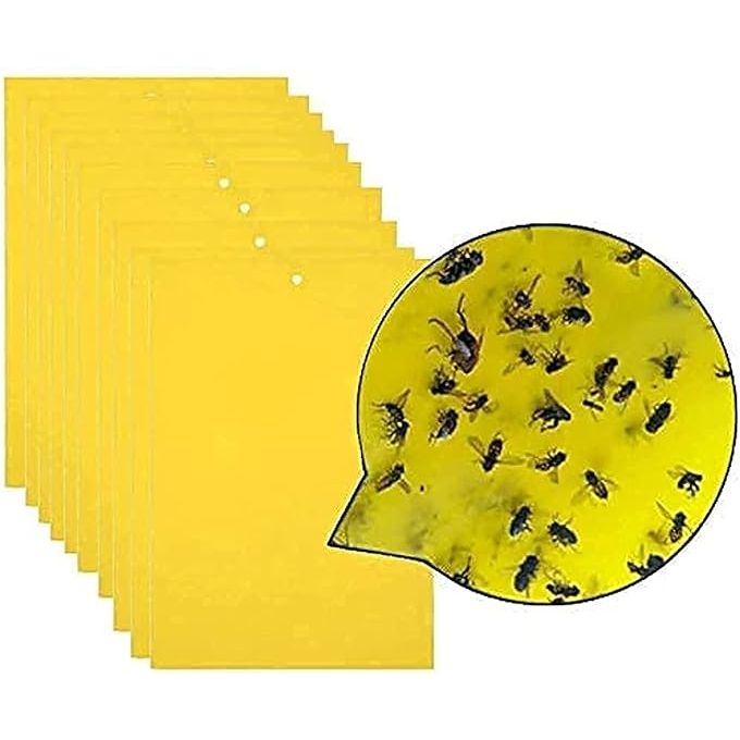 Pièges à mouches en plastique PP jaune, 10x20cm, autocollants en papier,  attrape-mouche pour plantes, panneau collant - AliExpress