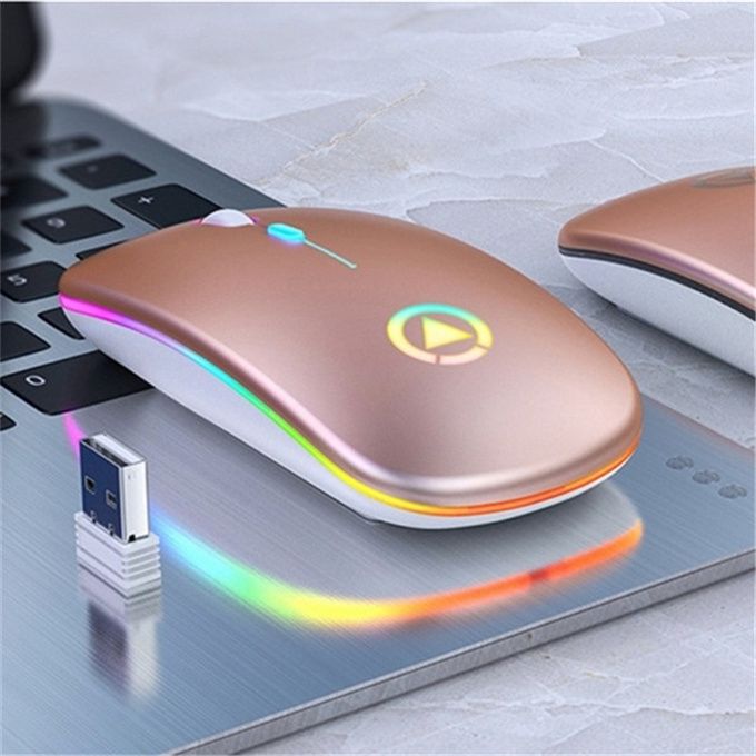 Souris sans fil Bluetooth RGB Rechargeable ordinateur silencieux LED  ergonomique