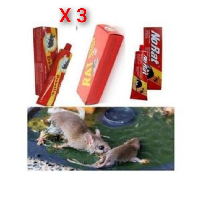 Generic Lot de 6 Panneaux de Colle pour Souris et Rats - Prix pas cher