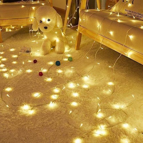 Magnifique Guirlandes Lumineuses -10m - 100 Led