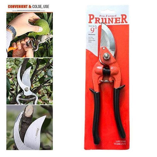 Sécateur Bypass Forgé Professionnel 10 Pouces (22 cm) - Lames Franches en Acier, Poignée Ergonomique Antidérapante - Pour Taille Précise de Bois Vert & Fleurs