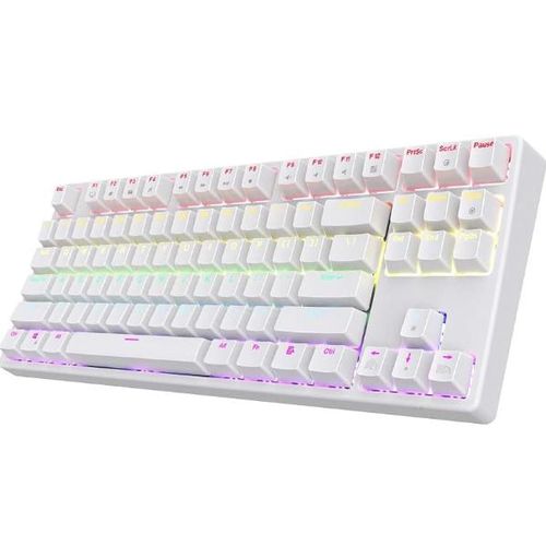 Clavier mécanique gaming AK87 RGB TKL Interrupteurs bleus remplaçables à chaud Rétroéclairage RGB Disposition anglaise 87 touches Clavier filaire USB pour joueurs PC Windows Blanc