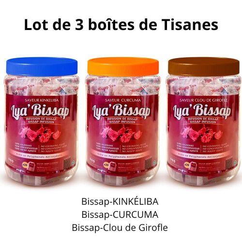 Lot de 3 Boites de tisane - Saveur Bissap au kinkéliba / Bissap au Curcuma / Bissap au Clou de Girofle - 20 sticks par boite