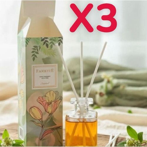 Lot de 3 Diffuseurs à Baguette pour Maison et bureau